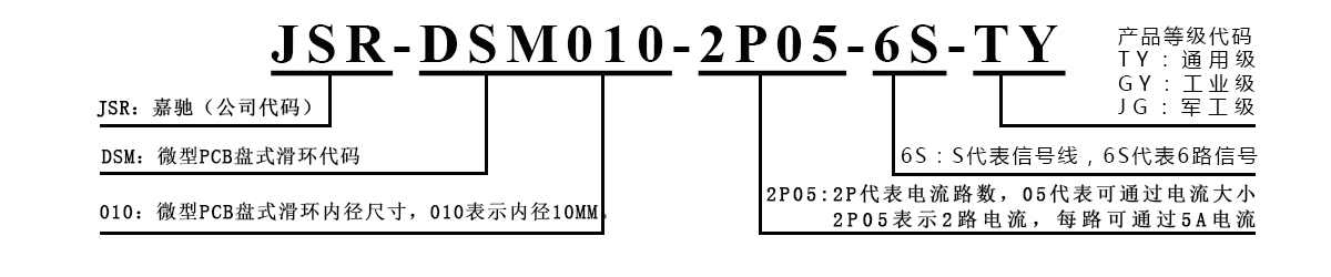 DSM010